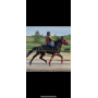 Hopples for Riding on horseback_4